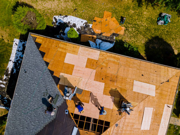 Best Roof Leak Repair  in Rockwood, VA
