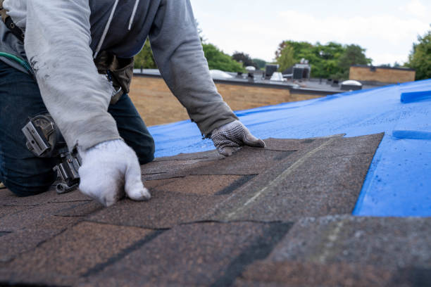 Best Metal Roofing Contractor  in Rockwood, VA